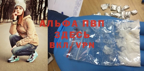 спайс Покачи