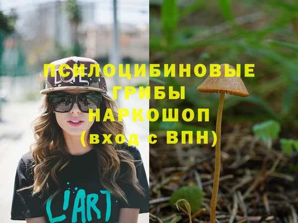 кокаин Белокуриха