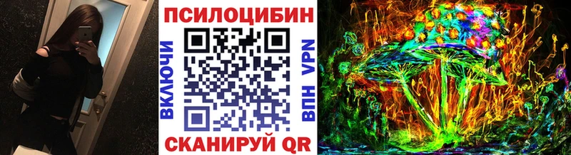Псилоцибиновые грибы мухоморы  где купить наркоту  Кизилюрт 
