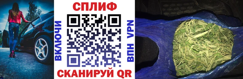 Каннабис MAZAR Кизилюрт